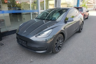 特斯拉 Model Y 2021款 Performance高性能全轮驱动版