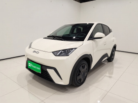 比亚迪 海鸥 2025款 305km 活力版