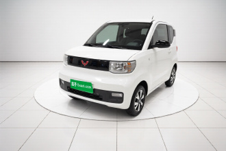 五菱汽车 宏光MINIEV 2020款 自在款 磷酸铁锂