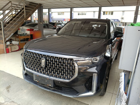 奔腾T99 2020款 20TD 自动尊享型