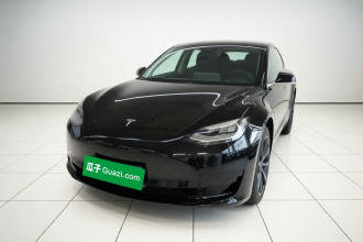 特斯拉 Model 3 2020款 改款 标准续航后驱升级版