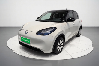 五菱汽车 五菱缤果 2024款 333km 悦享款