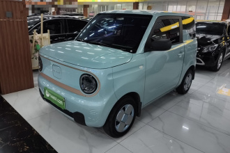 吉利银河 2024款 熊猫mini 200km 龙腾PRO版