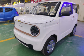 吉利银河 2024款 熊猫mini 200km 耐力熊