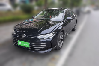 大众 帕萨特 2025款 Pro 380TSI 龙耀版