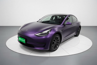 特斯拉 Model 3 2020款 标准续航后驱升级版