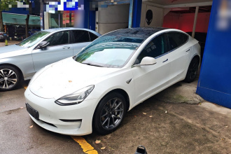 特斯拉 Model 3 2020款 长续航后轮驱动版