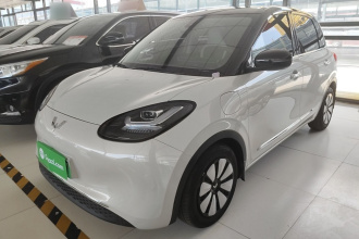 五菱汽车 五菱缤果 2023款 333km 悦享+款