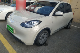 五菱汽车 五菱缤果 2023款 203km 轻享款