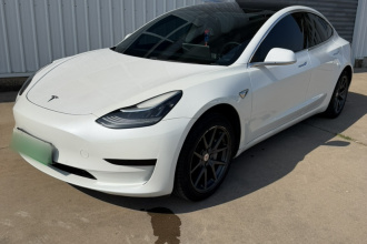 特斯拉 Model 3 2019款 标准续航后驱升级版