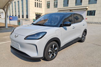 五菱汽车 五菱缤果PLUS 2024款 510km 旗舰版 四座版