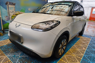 五菱汽车 五菱缤果 2023款 410km 灵犀尊享款