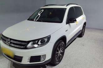 大众 途观 2014款 1.8TSI 自动两驱30周年纪念版