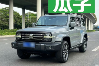 坦克300 2021款 城市版 2.0T 很有型