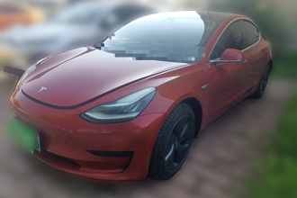 特斯拉 Model 3 2020款 标准续航后驱升级版