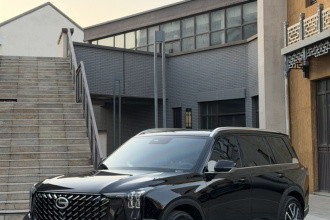 广汽传祺 传祺GS8 2022款 领航系列 2.0TGDI 两驱豪华智联版（七座）