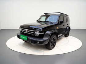 坦克300 2021款 城市版 2.0T 很有型