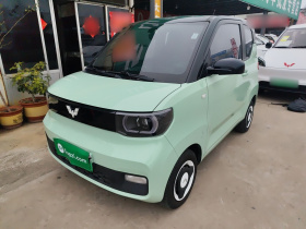 五菱汽车 宏光MINIEV 2021款 马卡龙时尚款 磷酸铁锂