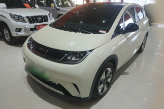 比亚迪 海豚 2024款 荣耀版 420km 时尚版