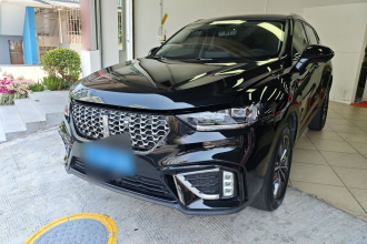 魏牌 VV5 2021款 1.5T 两驱颜先锋