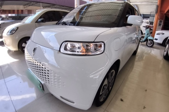 欧拉白猫 2020款 305km 豪华型