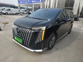 广汽传祺 传祺M8 2024款 大师系列 400T 尊贵版