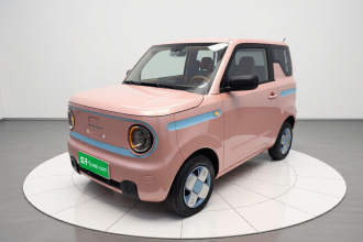 吉利银河 2023款 熊猫mini 200km 耐力熊