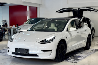 特斯拉 Model 3(进口) 2019款 标准续航后驱升级版