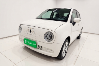 欧拉黑猫 2021款 301km 基础型