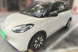 五菱汽车 五菱缤果 2024款 333km 悦享款