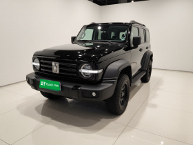 坦克300 2021款 越野版 2.0T 征服者