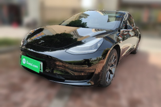 特斯拉 Model 3 2020款 标准续航后驱升级版