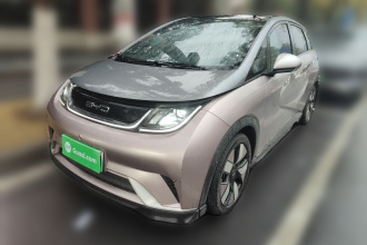 比亚迪 海豚 2021款 401km 骑士版