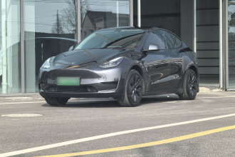 特斯拉 Model Y 2024款 后轮驱动版