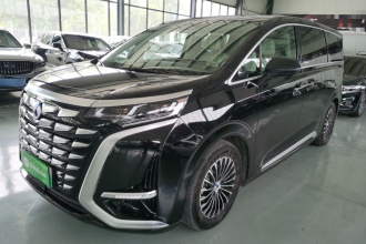 腾势D9 2024款 DM-i 1050 尊享型
