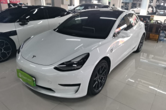 特斯拉 Model 3 2020款 标准续航后驱升级版