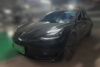 特斯拉 Model 3 2019款 标准续航后驱升级版