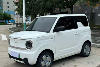 吉利银河 2023款 熊猫mini 200km 耐力熊