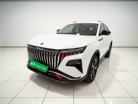 东风风神 皓极 2024款 马赫动力 1.5T 尊贵型