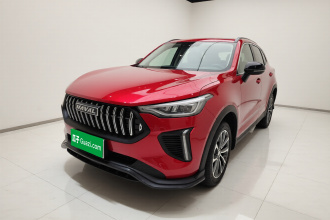 哈弗赤兔 2022款 劲享版 1.5T 紫铜兔