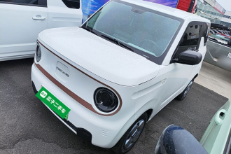 吉利银河 2024款 熊猫mini 200km 耐力熊