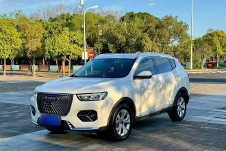 哈弗H6 2021款 1.5T 自动都市版