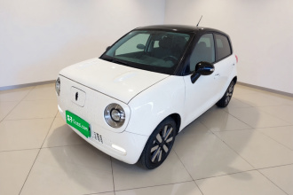 欧拉黑猫 2021款 351km 标准型