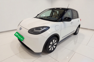 五菱汽车 五菱缤果 2024款 333km 悦享款