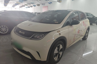 比亚迪 海豚 2023款 420km 时尚版
