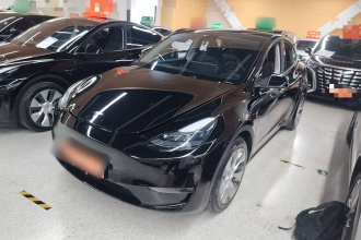 特斯拉 Model Y 2022款 改款 长续航全轮驱动版