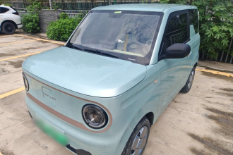 吉利银河 2023款 熊猫mini 200km 耐力熊