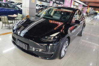 特斯拉 Model Y 2021款 长续航全轮驱动版 3D7