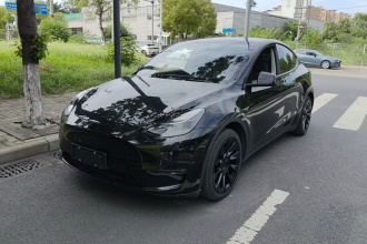 特斯拉 Model Y 2021款 标准续航后驱版