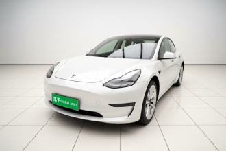 特斯拉 Model 3 2019款 标准续航后驱升级版